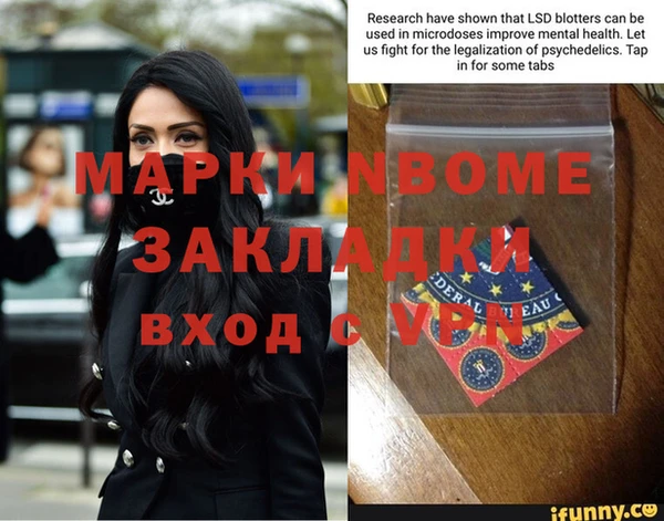 прущие грибы Аркадак