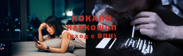 прущие грибы Аркадак