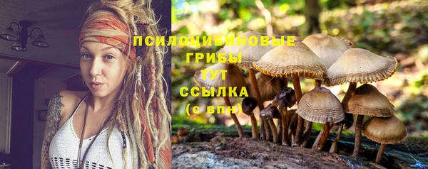 jwh Армянск