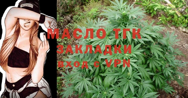 прущие грибы Аркадак